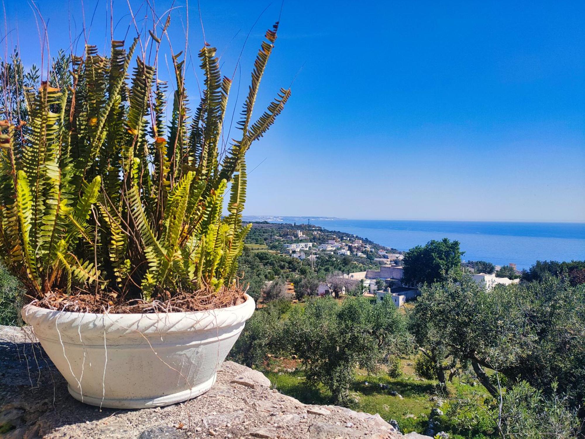 Le Pajare di Marina Serra di Casa Camilla Journey Esterno foto